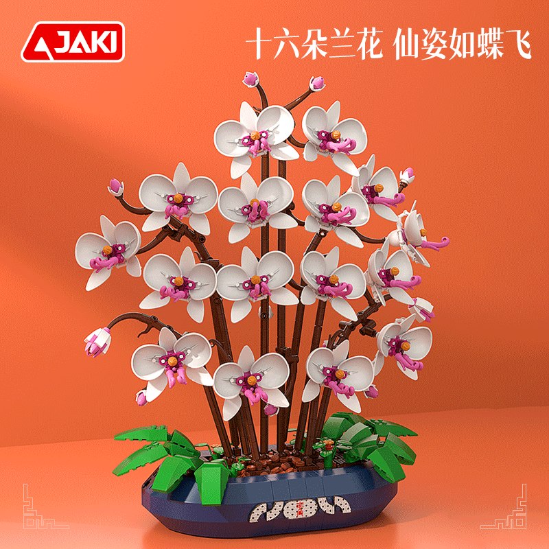 JK2908 雪玉蝴蝶蘭